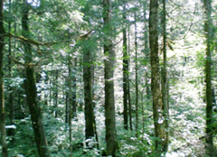 1503534583869378.png image.png