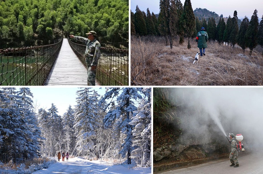 森林資源管護 森林資源管護